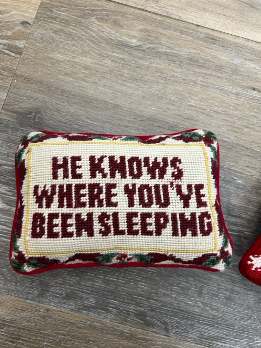He knows where you’ve been sleeping needle point pillow